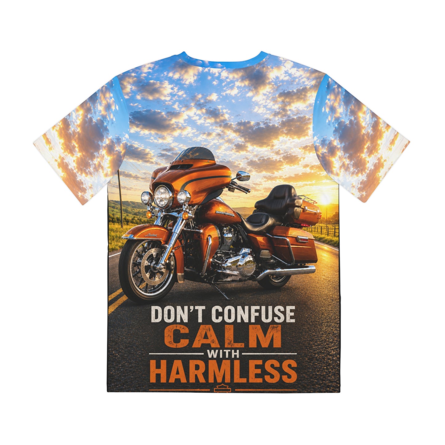 Don't Confuse Calm with Harmless - Motorcycle